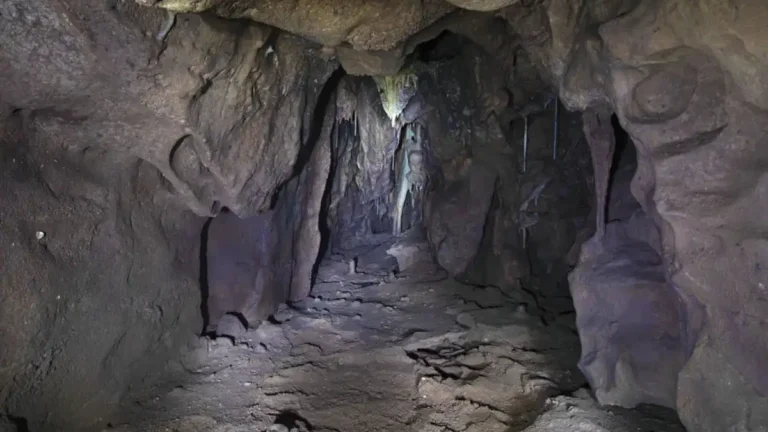 Meet the Newest Member: The Bray Cave Man Joins Gibraltar Museum's Prehistoric Family